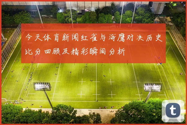 今天体育新闻红雀与海鹰对决历史比分回顾及精彩瞬间分析